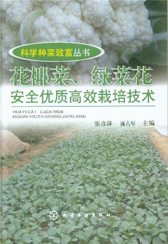 花椰菜 綠菜花安全優質高效栽培技術 二手書交易資訊 Taaze 讀冊生活