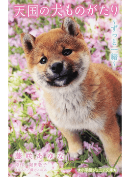 讀冊 二手徵求好處多 天国の犬ものがたりずっと一緒 小学館ジュニア文庫 二手書交易資訊 Taaze 讀冊生活