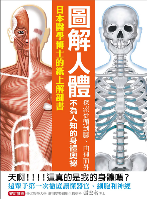 圖解人體：探索從頭到腳、由裡而外不為人知的身體奧祕！日本醫學博士的