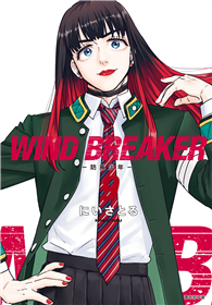 WIND BREAKER—防風少年—（09）