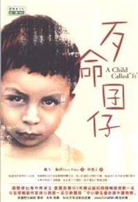 [問題] 找一本關於孩子被母親虐待的書