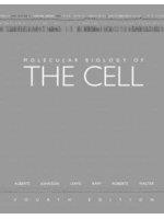 Molecular Biology of the Cell- TAAZE 讀冊生活