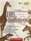 腦，在演化中