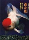 養金魚