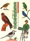 望遠鏡裡的精靈——台灣常見鳥類的故事