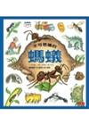不可思議的螞蟻