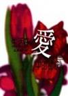 生活在愛中的秘訣