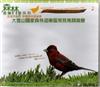 大雪山國家森林遊樂園區常見鳥類鳴聲（光碟）