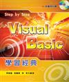 Visual Basic學習經典