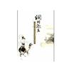 網川漱玉： 網路古典詩詞雅集週年紀念詩集