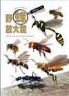 野蜂放大鏡
