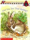 Phonics Booster Books 09: Did You See That Rabbit?