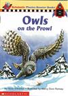 Phonics Booster Books 28: Owls on the Prowl