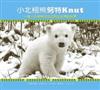小北極熊努特：一隻小北極熊如何征服全世界的故事