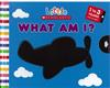 Little Scholastic: What Am I? (Board book)
