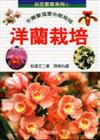 拈花惹草系列（6）：洋蘭栽培