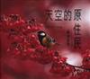 天空的原住民：台灣留鳥
