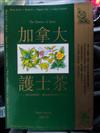 加拿大護士茶