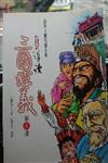 導讀三國演義8