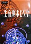 生命劇本DNA