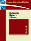 Molecular Biology of the Gene sixth edition