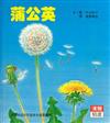 蒲公英