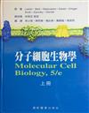 分子細胞生物學（上）（精）