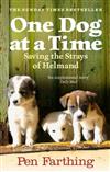 One Dog at a Time: Saving the Strays of Helmand-an Inspiring True Story