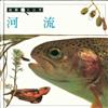 河流
