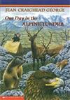 One Day in the Alpine Tundra