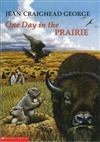 One Day in the Prairie