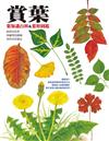 賞葉