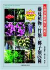 台灣景觀植物大圖鑑（3）：藤蔓植物、竹類、椰子類626種