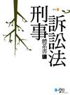 刑事訴訟法體系書（上）