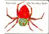 Very Busy Spider (Board Book)
