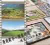 漫遊縱谷。探索珍珠-遇見100%的感動:2011百大珍珠探索專刊