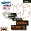 Special Packaging （Revised Edition）