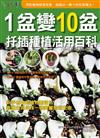 1盆變10盆扦插種植活用百科（2012年全新封面改版上市）