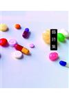 偽詩集
