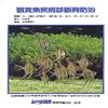 觀賞魚疾病診斷與防治