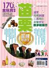 台灣走透透－苗栗金牌旅遊王：通霄苑裡銅鑼三義南庄卓蘭泰安 散步輕旅行