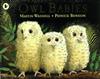 Owl Babies