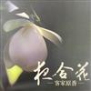 夜合花：客家原香