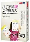 孩子不是壞，只是壓力大︰5個步驟，教出孩子迎戰未來的調整力（2019新版）