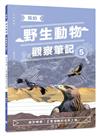 我的野生動物觀察筆記5：曲折崎嶇！王者金鵰的成長之路