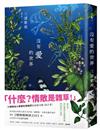 沒有愛的世界