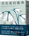 雪花蓮的慶典︰《過於喧囂的孤獨》同時期作品