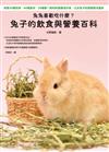 兔兔喜歡吃什麼？兔子的飲食與營養百科