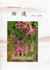 相遇