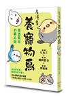看漫畫養寵物鳥 摸透鳥兒的真心話